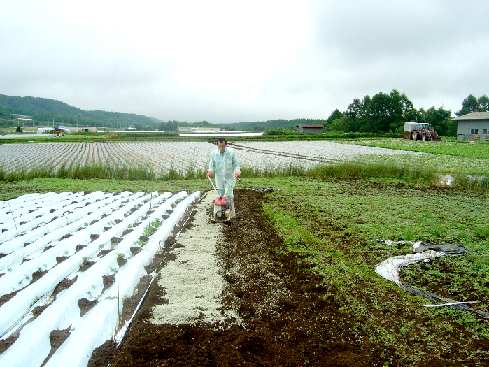 NEXTONE-αの農業用保水材施工例